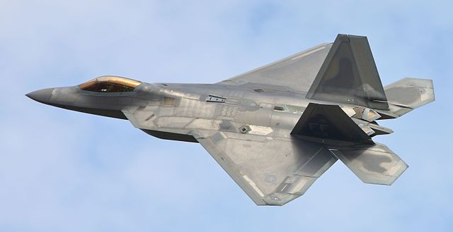 IS THE F-22 RAPTOR THE TOMCAT OF THE 21ST CENTURY?
